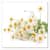 BTC17707 Image Thumbnail 6