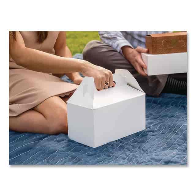 SCH2709 Product Image 2