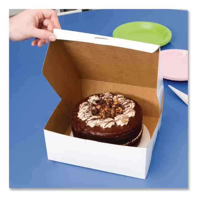SCH0961 Product Image 4