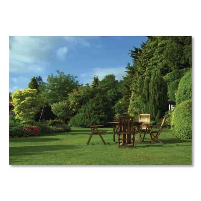 AMR136423 Product Image 3