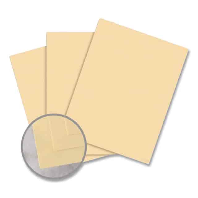 NEE8136882368 Product Image 4