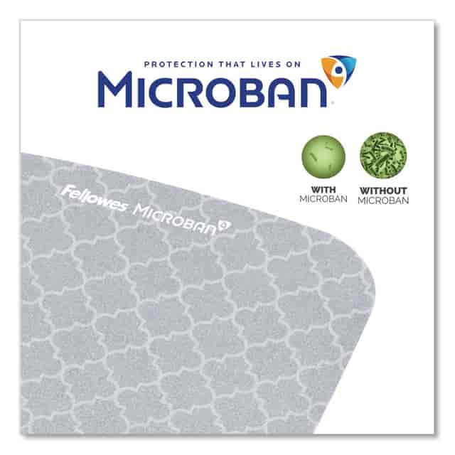 FEL9549701 Product Image 2