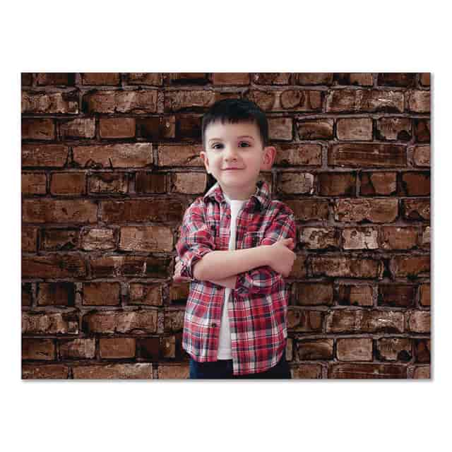 PAC0013161 Product Image 2