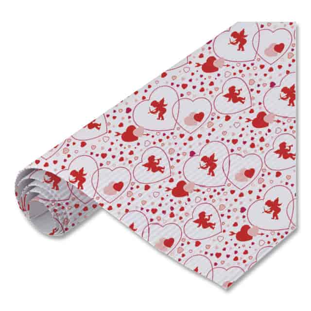 PAC0012111 Product Image 3