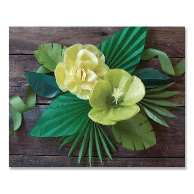 PACP0059130 Product Image 2