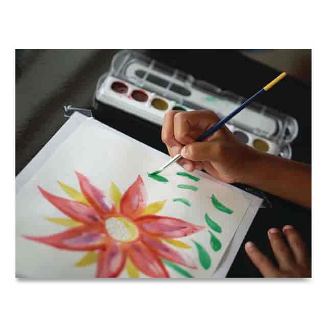 PACP4930 Product Image 4