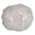 TXIBC21 Image Thumbnail 3
