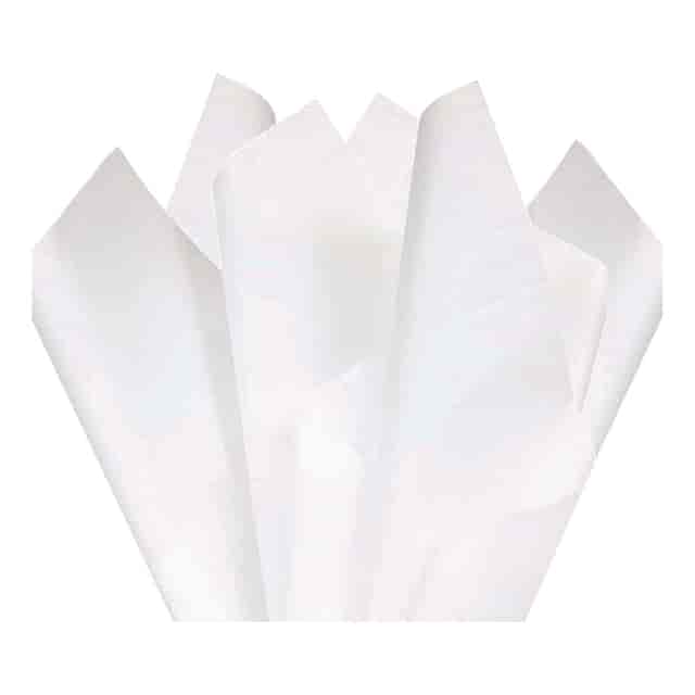 SER20X27W5RM Product Image 4