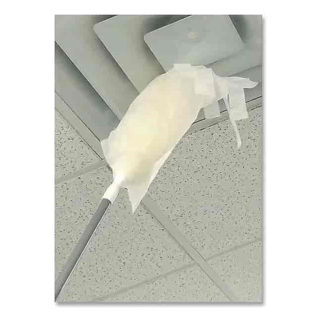 UNGDS50Y Product Image 4