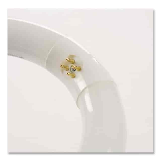 GEL33774 Product Image 3