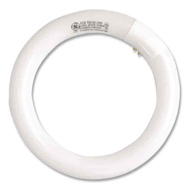 GEL33774 Product Image 5