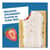KEB31732 Image Thumbnail 4
