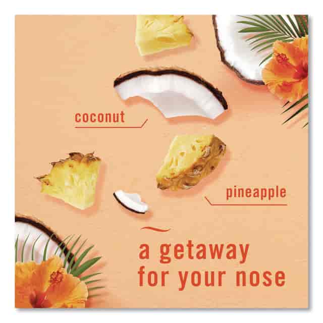 PGC21321 Product Image 7