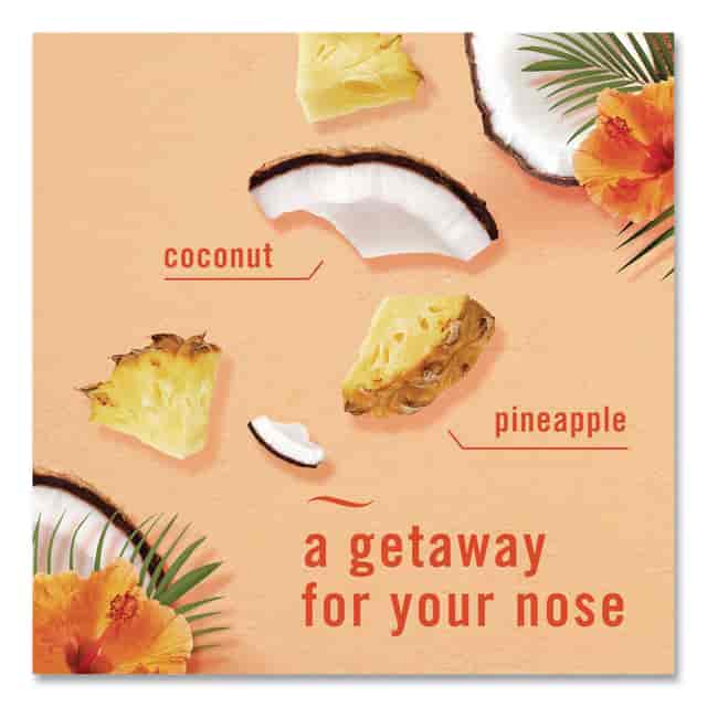 PGC21321PK Product Image 7