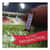 GRR22000085 Image Thumbnail 2
