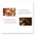 GRR24100015 Image Thumbnail 3