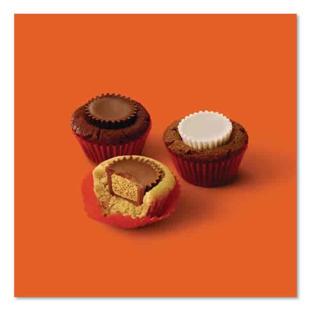 GRR24600413 Product Image 5