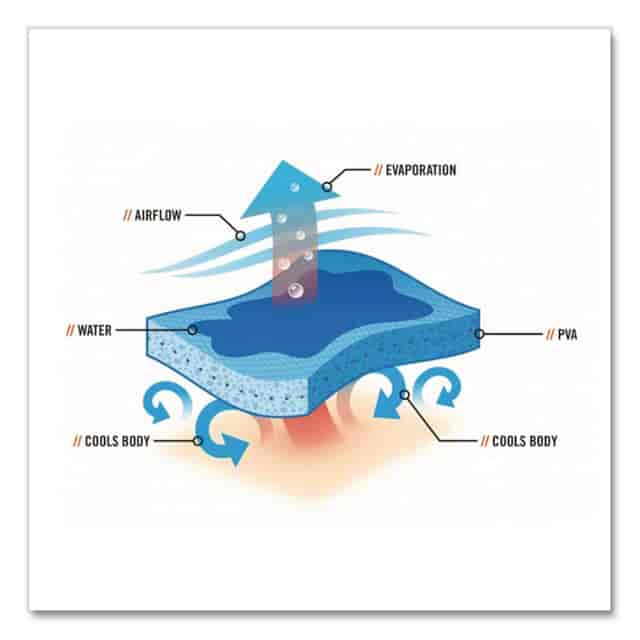 EGO12420 Product Image 7