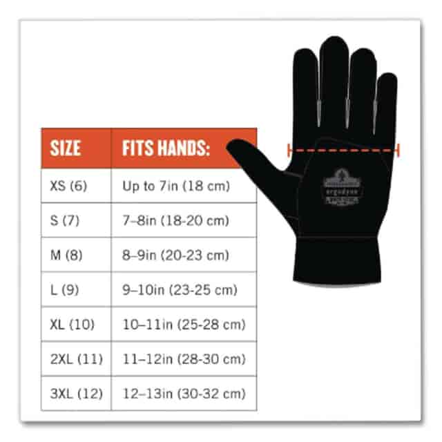 EGO17173 Product Image 5