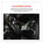 EGO17372 Image Thumbnail 6