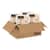DCC10FBRP1 Image Thumbnail 1