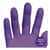 ANS50602 Image Thumbnail 4