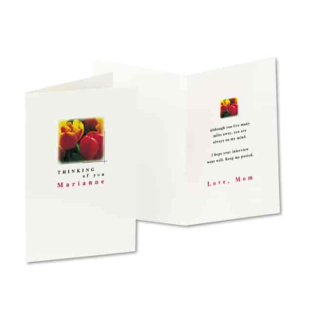 AVE3378 Product Image 7