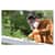 MMM6311PA1A Image Thumbnail 5