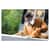 MMM6311PA1A Image Thumbnail 6