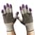 ANS97430 Image Thumbnail 4