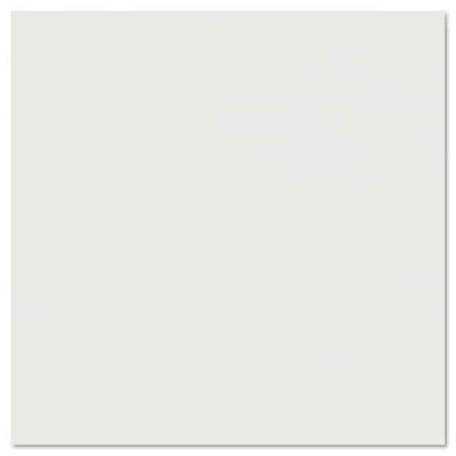 ICE20843 Product Image 11