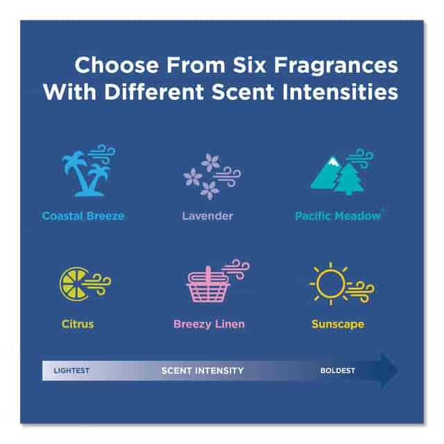 GPC48281 Product Image 6
