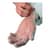 TXIVLG5101 Image Thumbnail 1