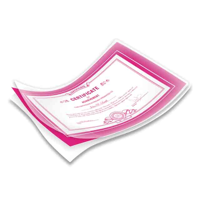 FEL52042 Product Image 3