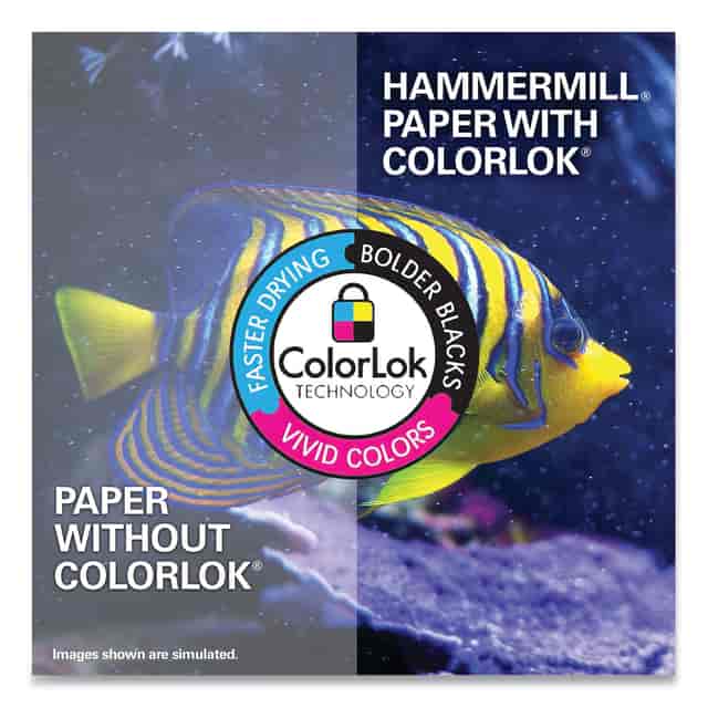 HAM105040 Product Image 5