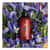 SBX00678CT Image Thumbnail 5
