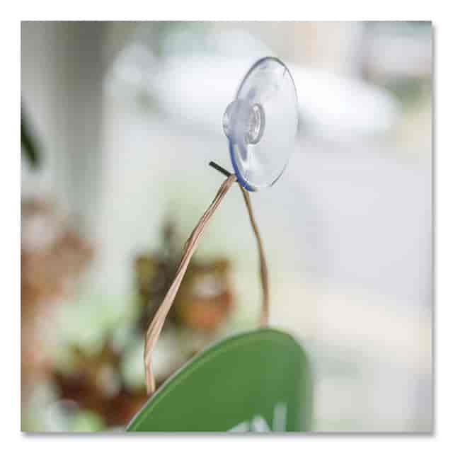 DEF20011 Product Image 5