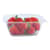 WORRDCS32 Image Thumbnail 1