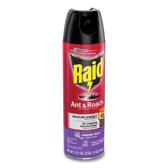 SJN386221 Product Image 4