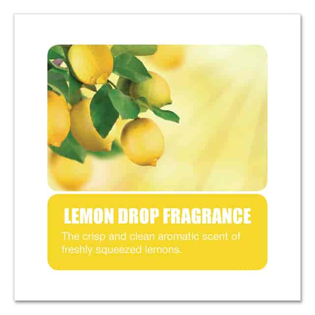 BGD451 Product Image 4