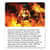 BGD202 Image Thumbnail 1
