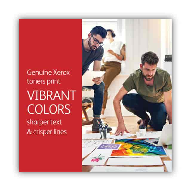XER006R04392 Product Image 4