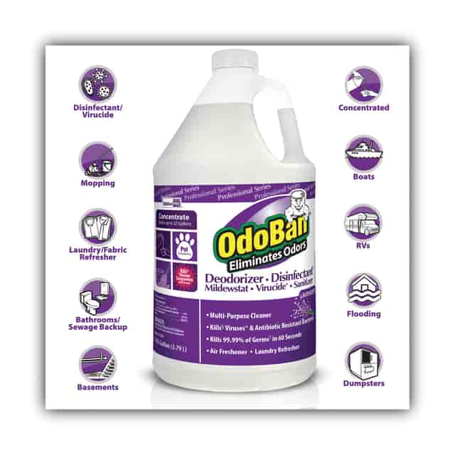 ODO911162G4 Product Image 5