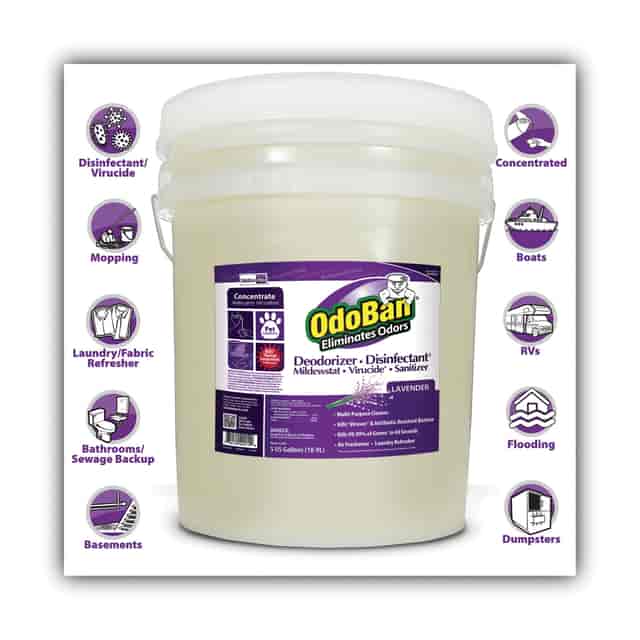 ODO9111625G Product Image 5