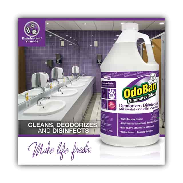 ODO911162G4 Product Image 3