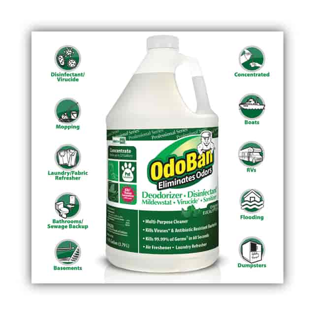 ODO911062G4 Product Image 4