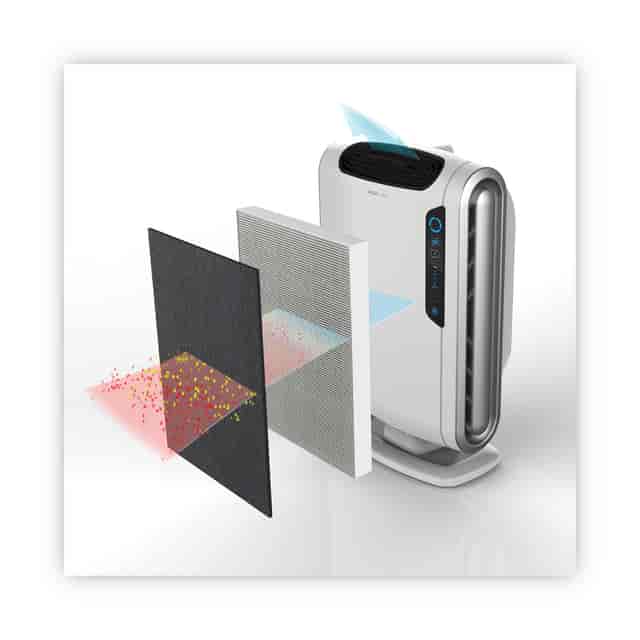 FEL9287201 Product Image 2