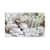 DIA1219071 Image Thumbnail 4