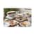 PCTYCNW0851 Image Thumbnail 6