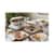 PCTYCNW02052 Image Thumbnail 7